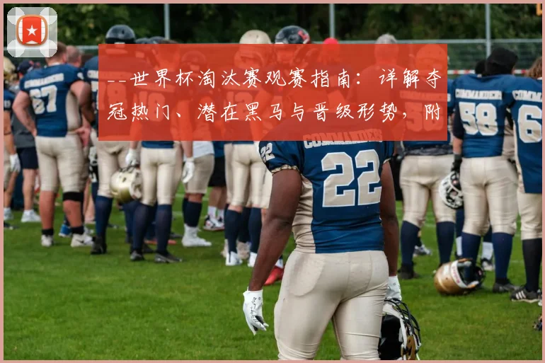 __世界杯淘汰赛观赛指南：详解夺冠热门、潜在黑马与晋级形势，附实用观赛贴士__